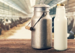 Importurile de lapte au crescut cu 1.846 % în ultimii 30 de ani
