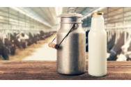 Importurile de lapte au crescut cu 1.846 % în ultimii 30 de ani