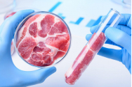 Carnea sintetică este cancerigenă. Aveți grijă ce mâncați!