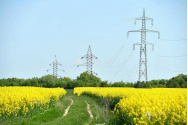 Cuplarea pieţelor din România, Moldova şi Ucraina are ca scop creştea fluxurilor de energie electrică
