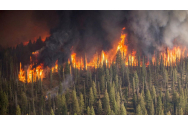 Stare de urgență în Siberia. Incendiile de pădure fac ravagii