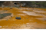 Mesaj RO-Alert în Neamț, din cauza poluării: Autoritățile suspectează o infestare a râului Bistrița cu ape de mină
