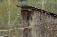 WC-ul din fundul curții. Poliția Botoșani cumpără șase „unități clasice WC din lemn de rășinoase”