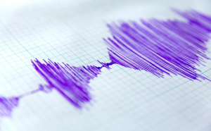 Cutremur puternic în România! INFP a făcut anunțul chiar acum. Câte grade a avut seismul