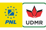 Un deputat PNL solicită înlocuirea unui deputat UDMR pe care îl acuză că a contestat integritatea teritorială a României