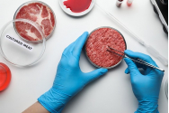 Carnea sintetică, aprobată în SUA: ”Este un vis devenit realitate. Marchează începutul unei noi ere”. Reacție din România