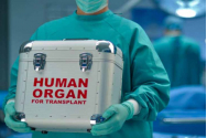 Medici trimiși în judecată pentru trafic de organe