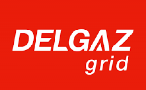 Delgaz Grid angajează urgent