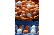 De ce este bine să consumăm ouă. Benefiicile ouălor pentru sănătate