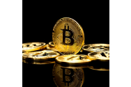 Cum Poate Afacerea Mea Să Accepte Bitcoin?  