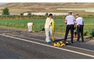 Accident la indigo cu carnagiul de la Vama Veche - Trei morți după ce o mașină a intrat într-un grup de oameni în județul Alba