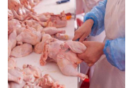 Carne de pui cu salmonella în magazinele din România. Avea termen de valabilitate până în 2025