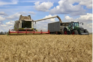 Ucraina ameninţă că dă în judecată ţările UE, inclusiv România, dacă nu vor ridica restricțiile legate de cereale pe 15 septembrie