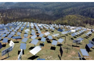 Parcul fotovoltaic de 40 de milioane de euro, distrus de hoți. Panourile solare au fost vândute pe Internet
