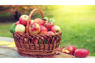 Peste 10 la sută din merele din UE provin din România