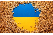 Fermierii bulgari au câștigat: Bulgaria suspendă importul de seminţe de floarea soarelui din Ucraina