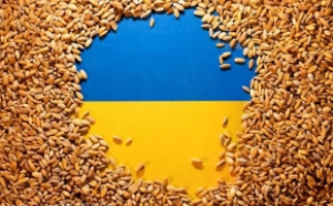 Fermierii bulgari au câștigat: Bulgaria suspendă importul de seminţe de floarea soarelui din Ucraina