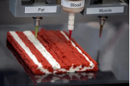 Austria a început să vândă primele alimente imprimate 3D – sunt invocate motive ecologice