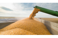 Exporturile de cereale ale Ucraine s-au înjumătățit