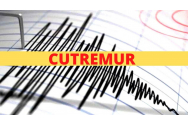 Un cutremur de magnitudine 4,2 a zguduit județul Buzău