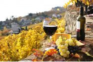 Franța redevine cel mai are producător de vin