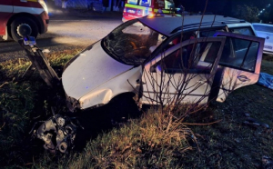 Tragedie fără margini: o mamă de 25 de ani a murit într-un accident teribil, după ce soțul ei a adormit la volan