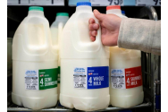 Cum am ajuns să bem lapte din import / Unde sunt problemele și cum pot fi remediate