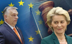 Consiliul Europei cere Ungariei să renunţe la un proiect de lege care incriminează finanţarea externă a partidelor