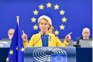 Nu se poate ca Bruxelles-ul să decidă peste parlamentele naţionale; voi cere ca Suedia să părăsească imediat UE 