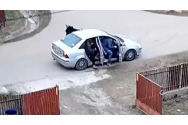 Momentul în care 11 oameni și-un câine ies dintr-o mașină. Imaginile filmate la Măgura s-au viralizat.