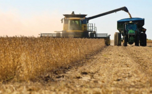 „Un pas extrem de important”. Ce mai spune Grindeanu despre tranzitul cerealelor din Ucraina?