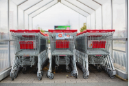 Ucrainenii vin cu supermarketuri în România. Aurora Multimarket va deschide 70 de noi magazine în țara noastră în 2024