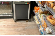 Bucuresti: Şobolan surprins în magazinul Mega Image Domenii 