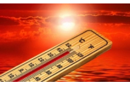 Încălzirea globală se resimte puternic și în România: s-a bătut orice record de temperaturi
