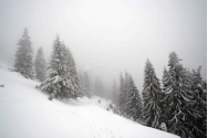 ANM: Atenţionări Cod galben de ninsori și viscol în zonele montane, până vineri dimineaţa