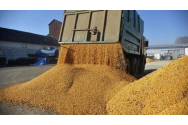 Agricultorii avertizează că vor organiza noi proteste dacă Guvernul nu stabilește un sistem eficient de monitorizare a cerealelor importate din Ucraina