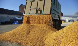Agricultorii avertizează că vor organiza noi proteste dacă Guvernul nu stabilește un sistem eficient de monitorizare a cerealelor importate din Ucraina