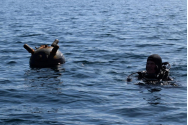 A fost depistată o mină marină în Marea Neagră! Forțele Navale intervin pentru a o dezamorsa