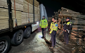 Trucul prin care Poliția a făcut să apară un transport de lemne în acte. Un TIR a fost confiscat