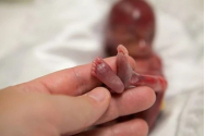 Medicii de la Maternitatea Botoșani nu fac avorturi la cerere - Zero avorturi la Botoșani