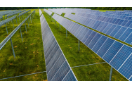 Consiliul Județean Neamț își parc fotovoltaic la Dragomirești
