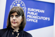 Laura Kovesi: „O organizaţie criminală din România a folosit fondurile UE destinate dezvoltării Deltei Dunării pentru alte proiecte”