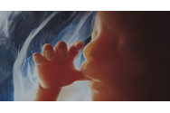 Cercetătorii transumaniști lucrează la crearea de embrioni umani cu ADN provenind de la doi bărbați