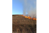 Peste 100 de hectare de vegetaţie uscată şi plantaţie silvică au fost distruse de un incendiu la Vaslui