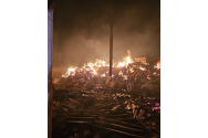 Sute de oi, arse într-un incendiu din localitatea Ostrov