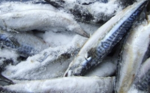 O femeie și trei copii, care au consumat pește congelat cumpărat din magazin, în stare gravă la spital