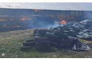 O fermă a luat foc: Cel puțin 70 de vaci au murit carbonizate