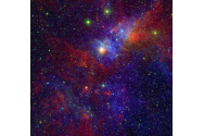 Astronomii bârlădeni au descoperit, în premieră, o stea variabilă!