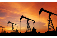 Companii petroliere din toată lumea aşteaptă demararea licitaţiilor pentru România