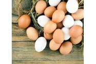 Mitul colesterolului: Câte ouă este sănătos să mănânci